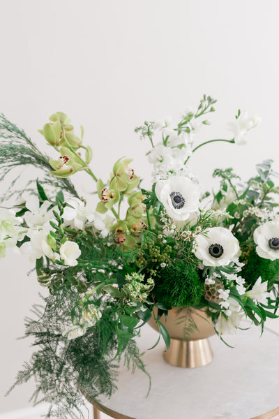 Green and White Winter Garden Flowers – Farm Nine