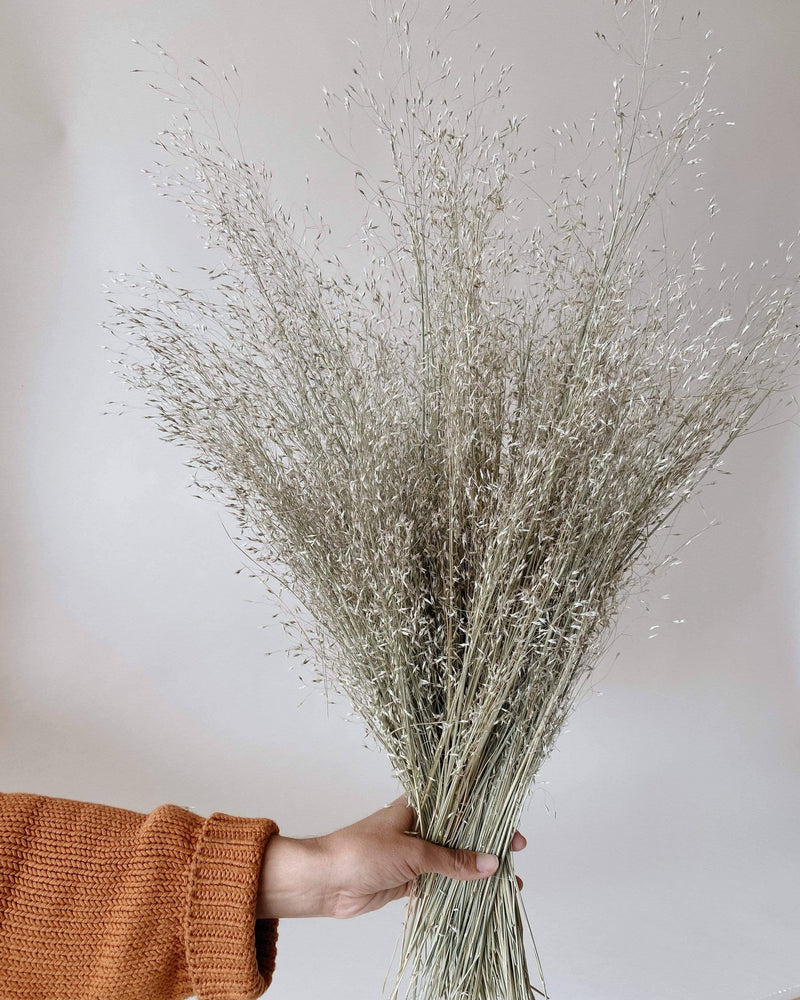 Dried Indian Rice Grass