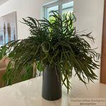 Preserved Feather Eucalyptus - Green: 4oz