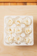 Preserved Mini White Roses