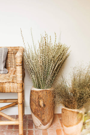 Dried Indian Rice Grass