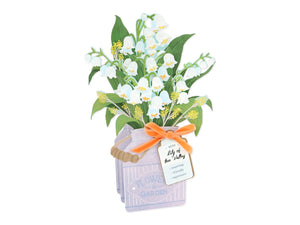 Birth Flower Collection Display with Product Fill