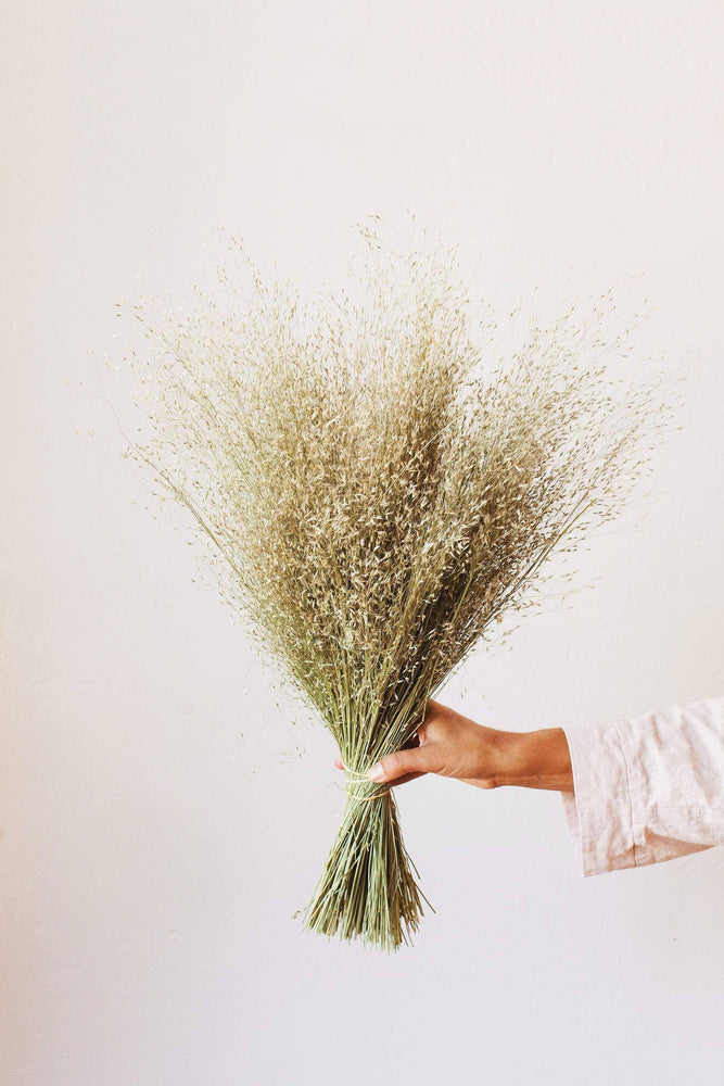Dried Indian Rice Grass