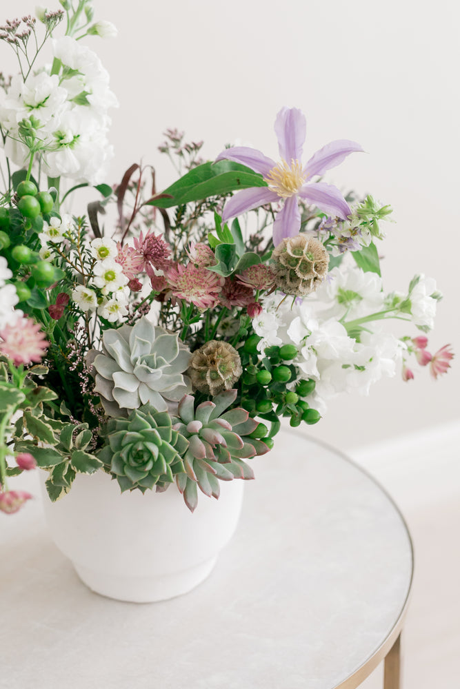 florist succulent arrangements Succulent Winter Garden Flowers – Farm Nine