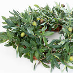 Olive Leaf Wreath - 24 Inch