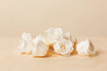 Preserved Mini White Roses