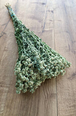 Mountain Mint