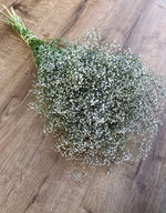Baby's Breath (Gypsophillia) 
