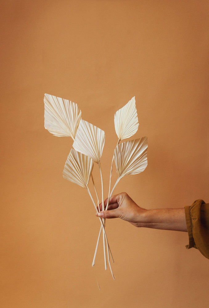 Dried White Spade Palms